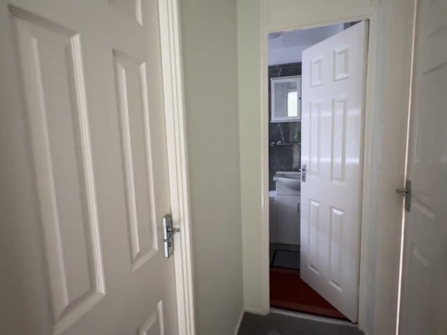 Double room available for couples/friends Main Photo