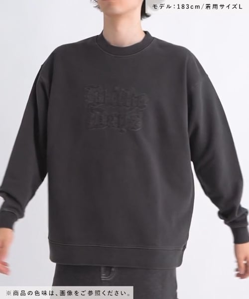 くえすとさんえす ピグメントパッチロゴプルオーバー/アウトレット価格 | [公式