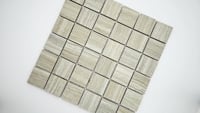 Charisma Silver 2X2 Matte Ceramic Mosaic