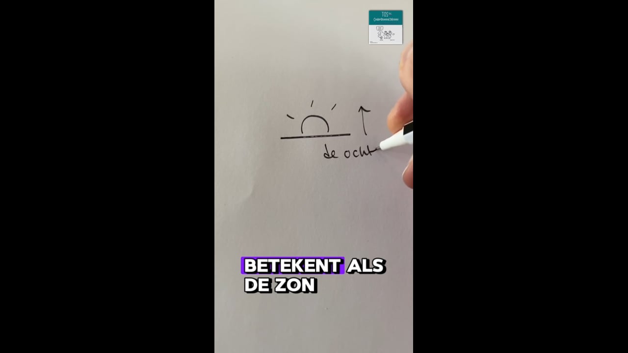 Ochtend (de), de middag, de avond