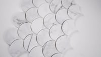 Calacatta Blanco Scallop Pattern Polished Backsplash Wall Tile