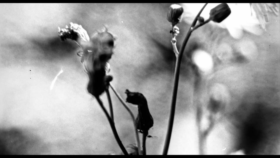 Hypnagogia