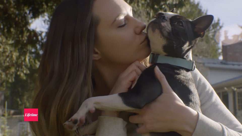 National Pet Insurance Month