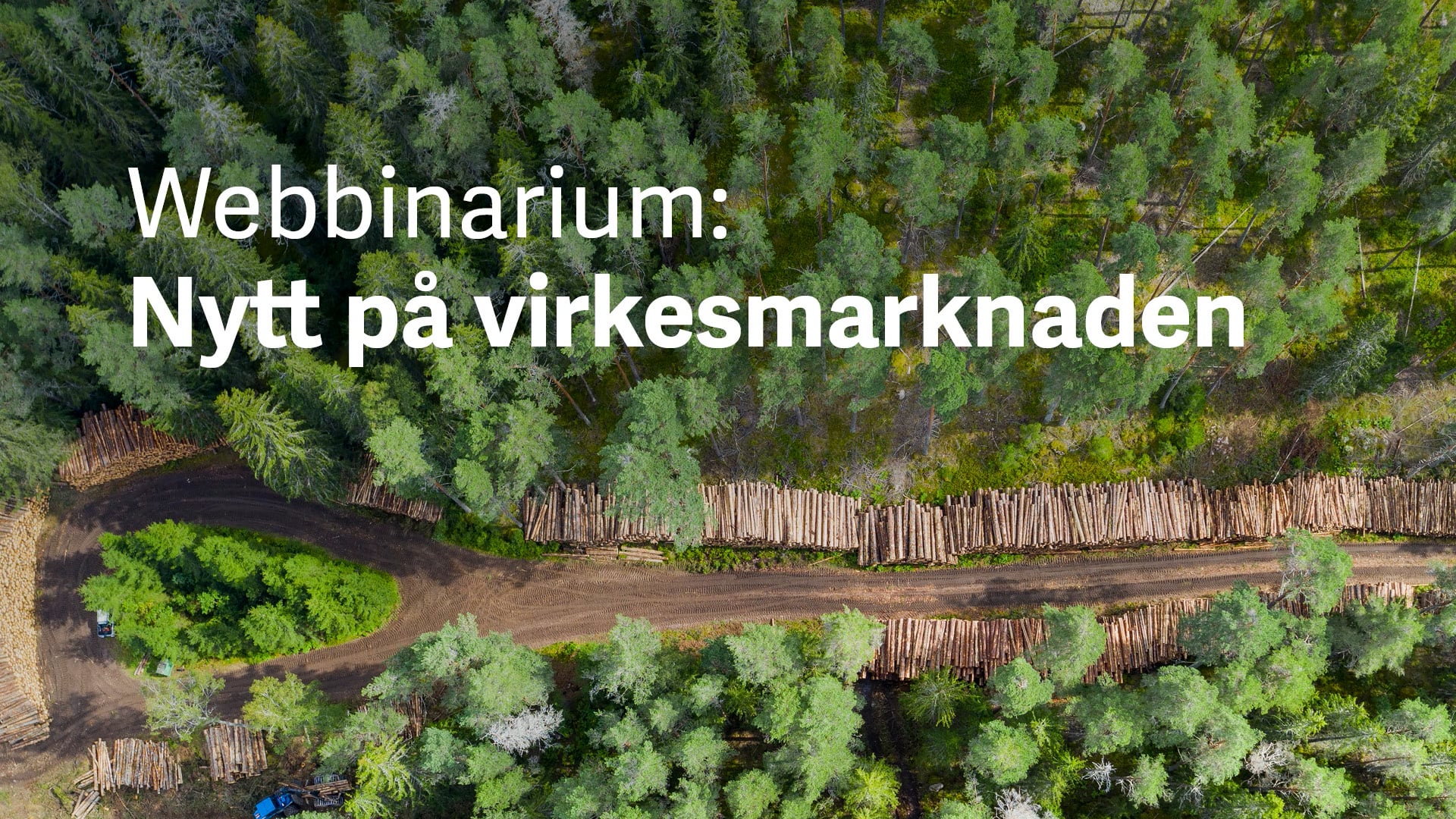 Webbinarium: Nytt på virkesmarknaden
