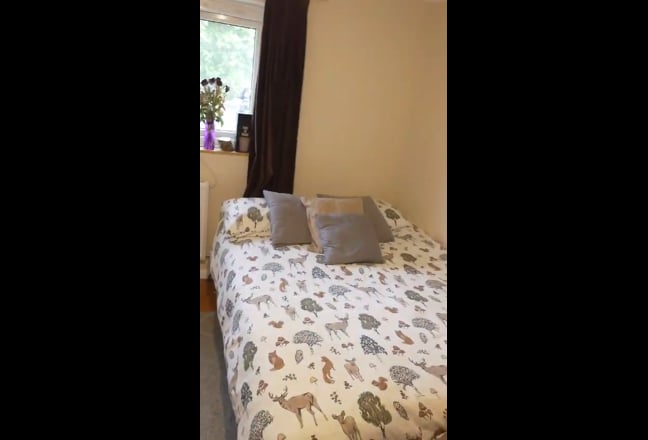 Video 1: The shared living room