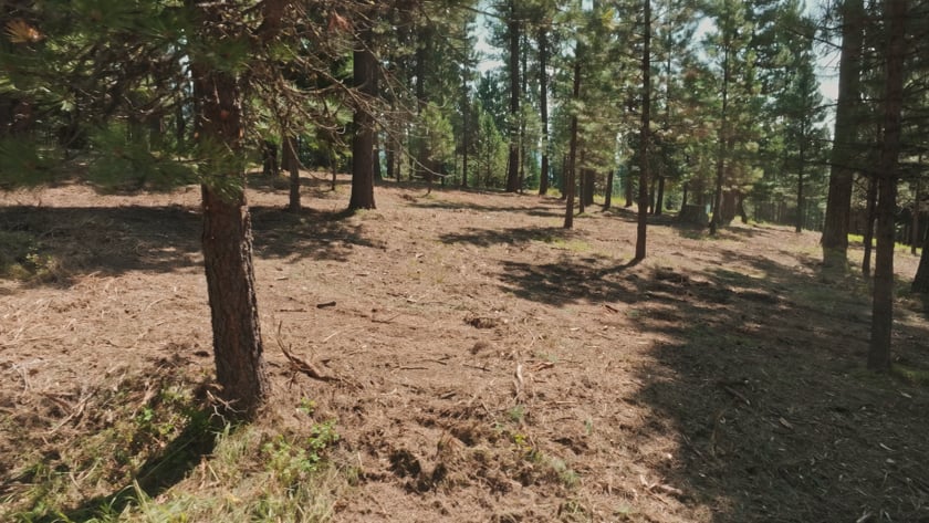 vimeo-video-thumbnail