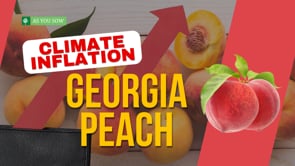 Climate Inflation: Georgia Peaches