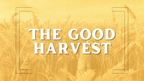 The Good Harvest