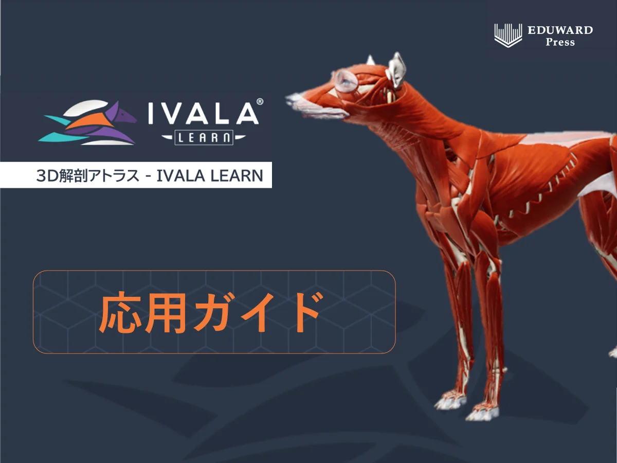 3D解剖アトラス IVALA LEARN 3D解剖アトラス IVALA LEARN