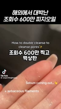 1. 모델 인플루언서..