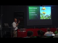 Mezclas biodiversas ricas en leguminosas como herramienta para mejorar productividad, suelos y medioambiente