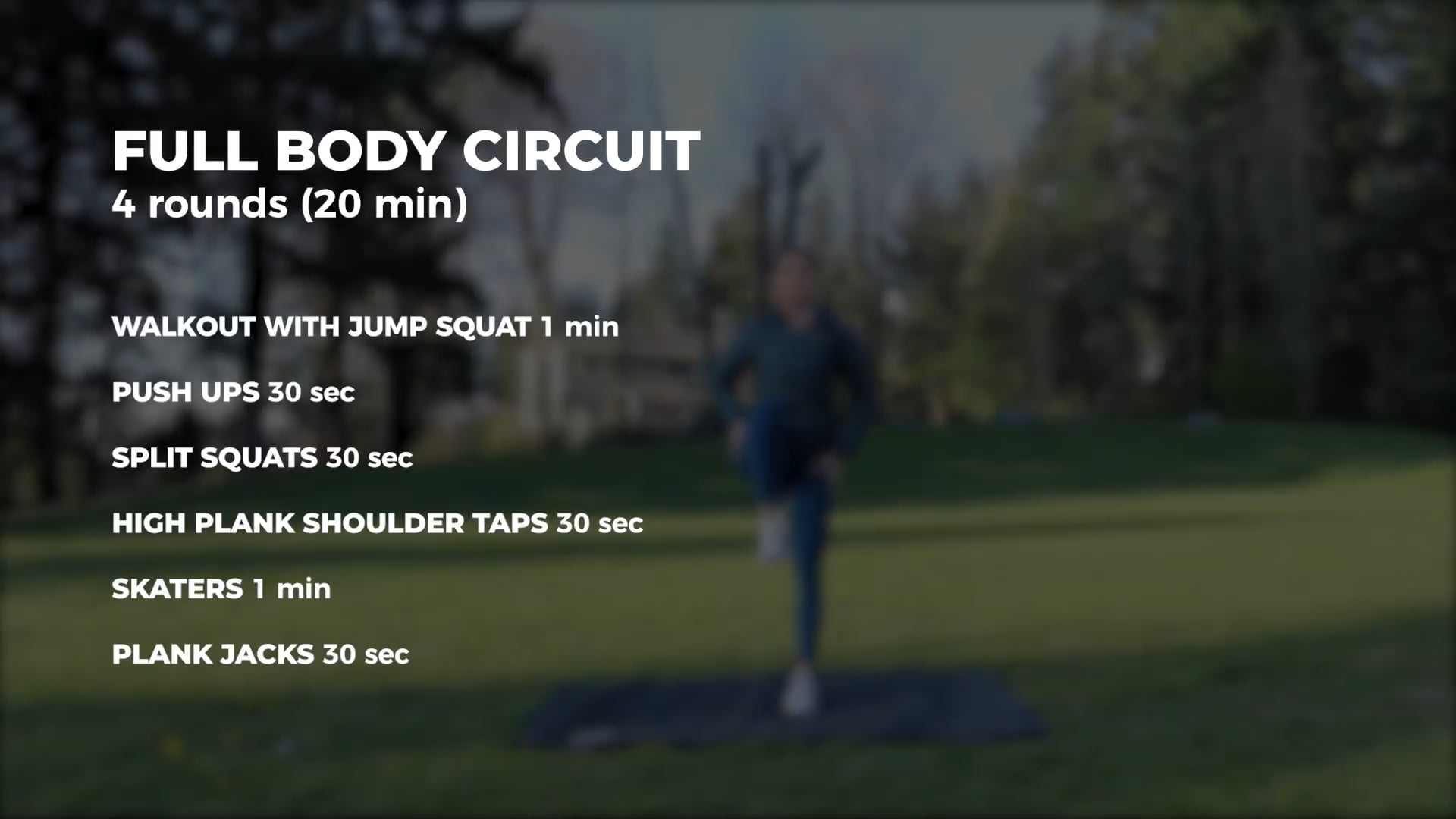 FULL BODY CIRCUIT 1