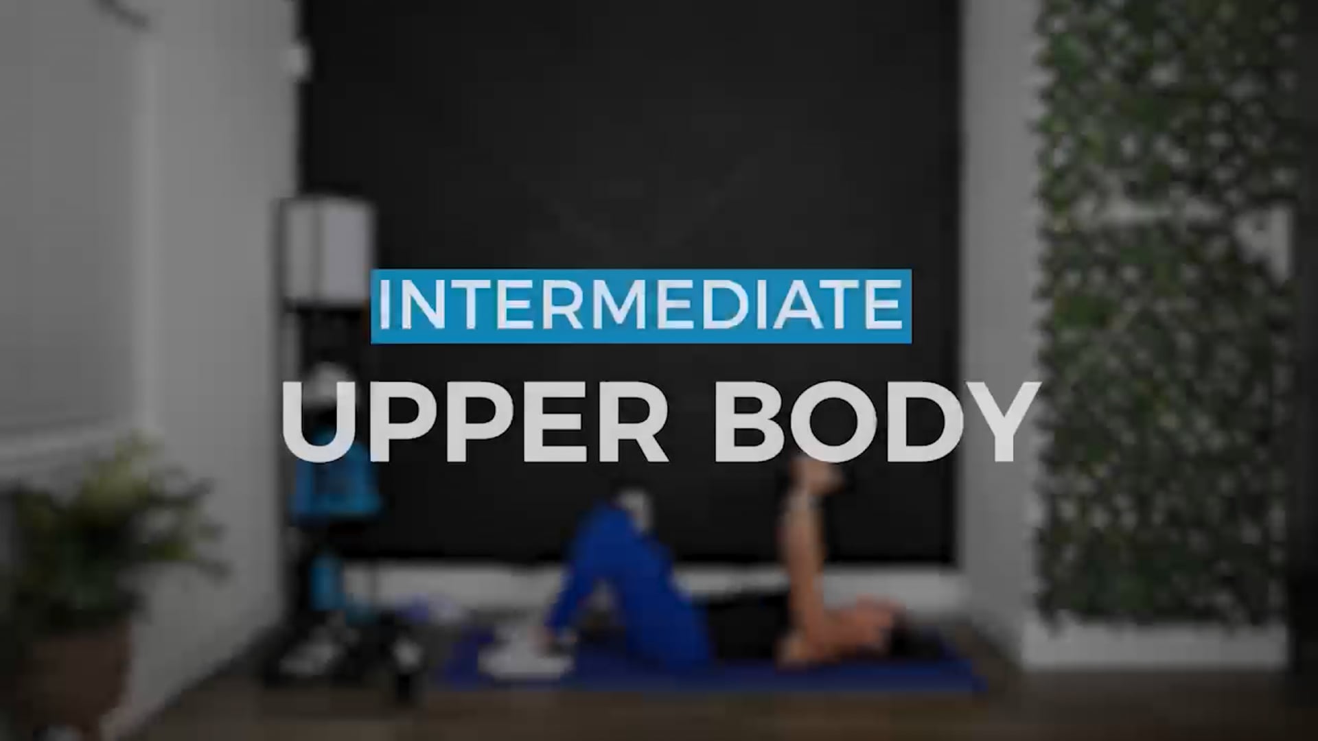 UPPER BODY - ANGELICA