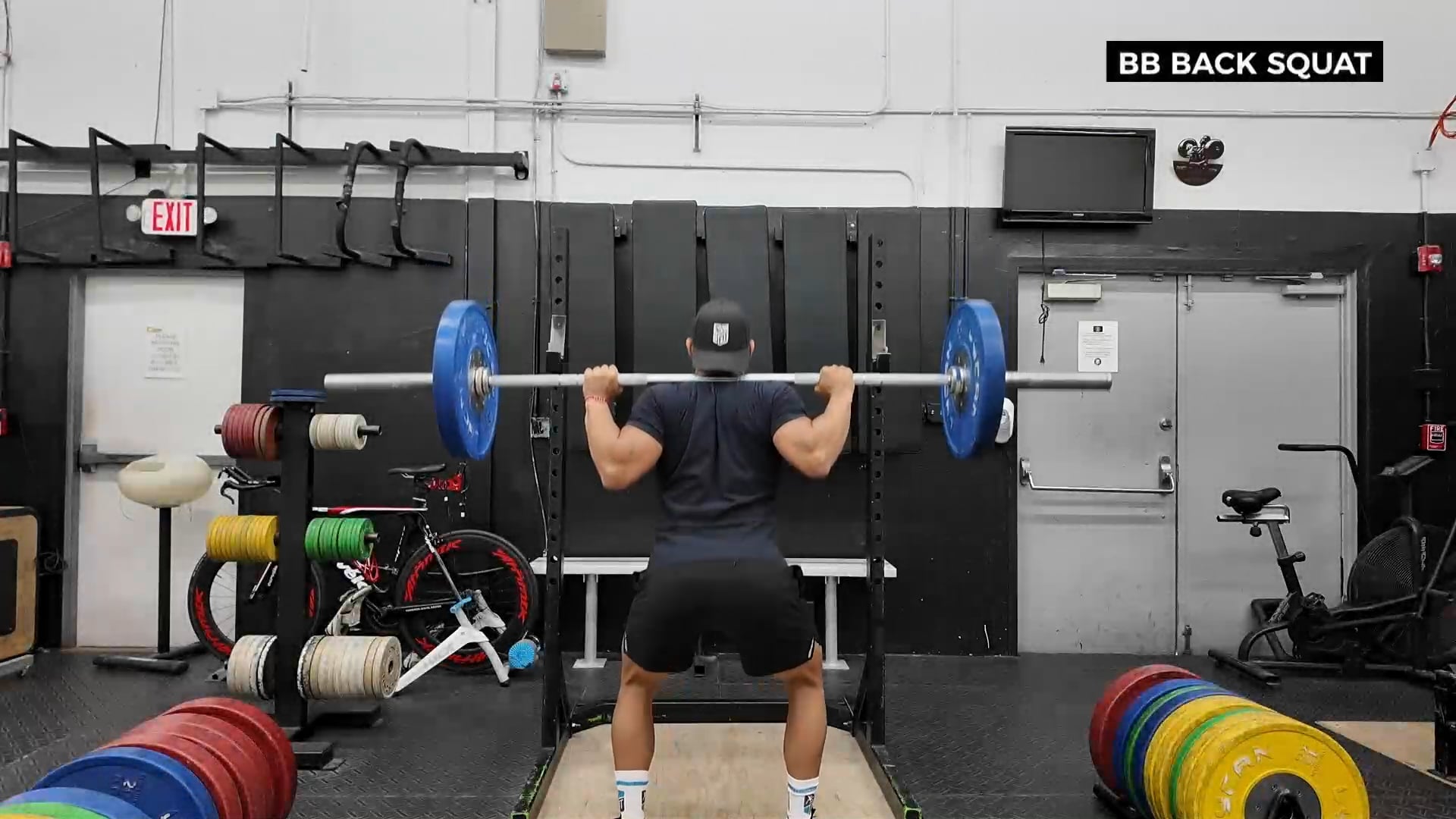 BARBELL BACK SQUAT