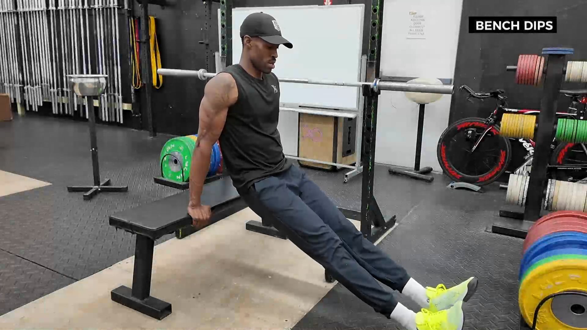 BENCH DIPS