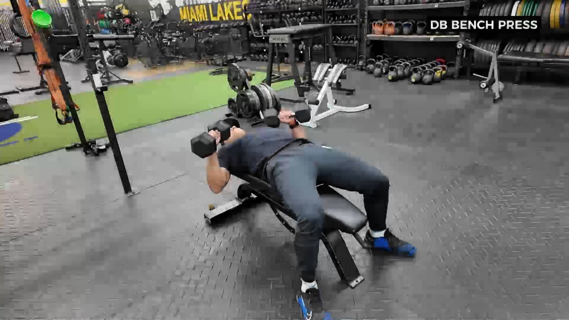 DUMBBELL BENCH PRESS