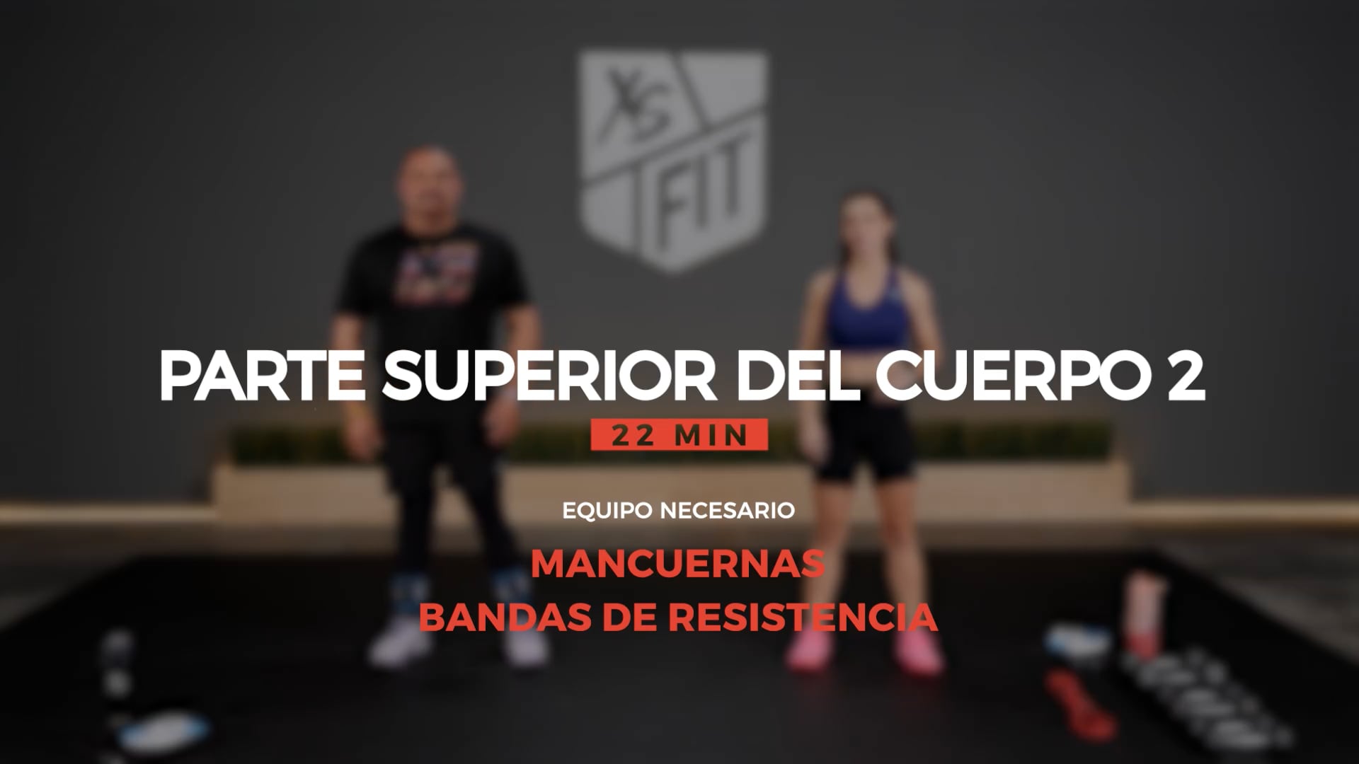 PARTE SUPERIOR DEL CUERPO 2