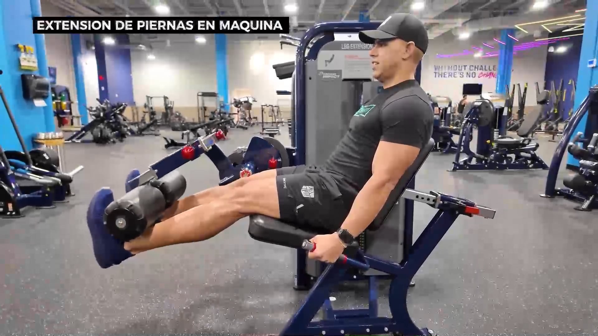 Extension de Piernas en Maquina