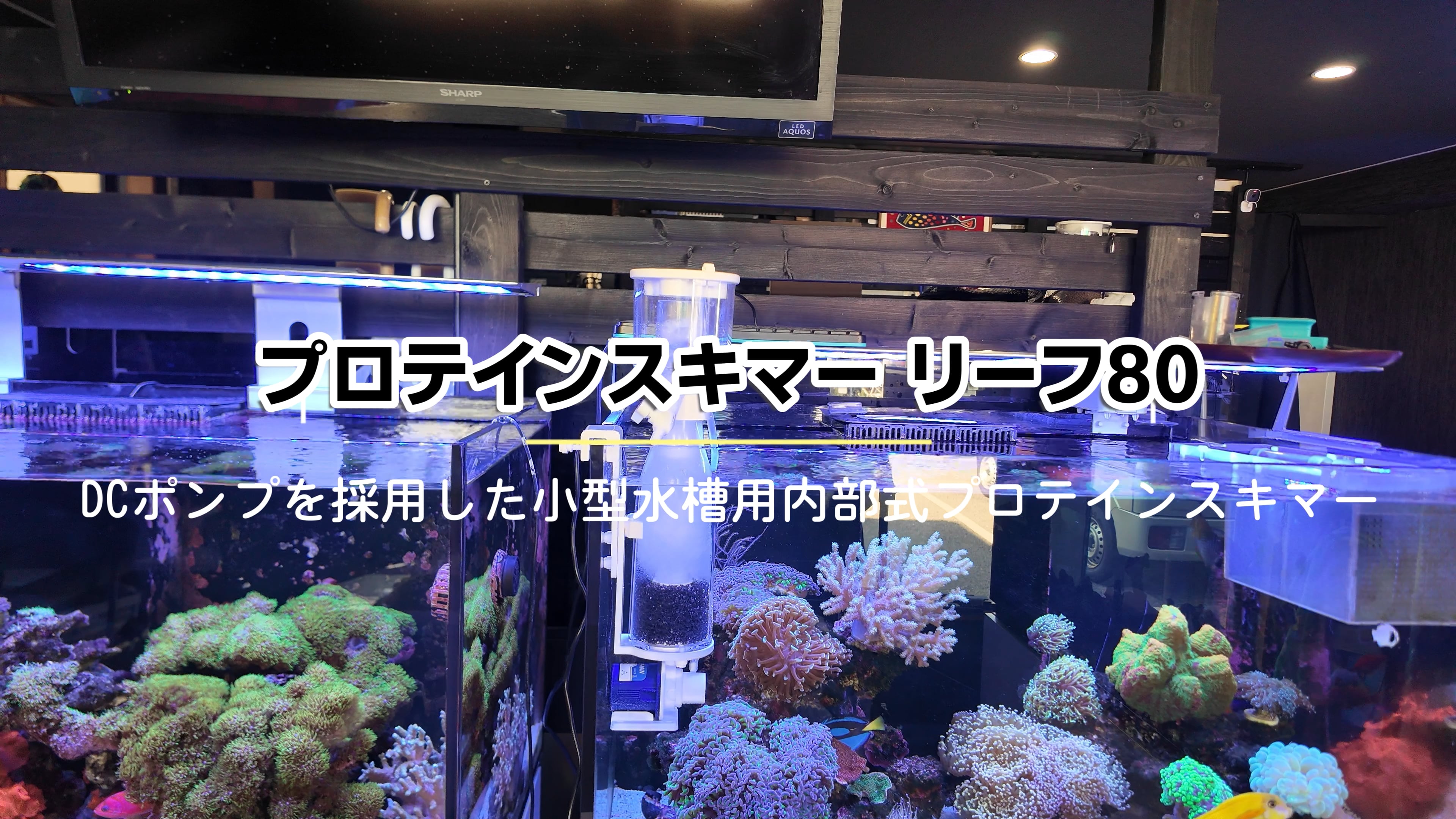 ZKSJプロテインスキマー REEF80IN
