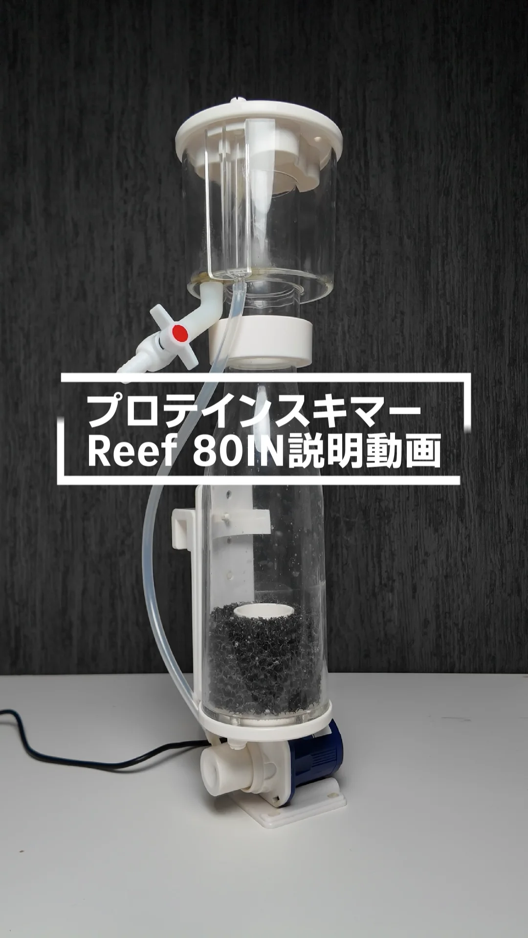 プロテインスキマー Reef80 | 海水魚通販はアクアギフト プロテインスキマー Reef80 | 海水魚通販はアクアギフト