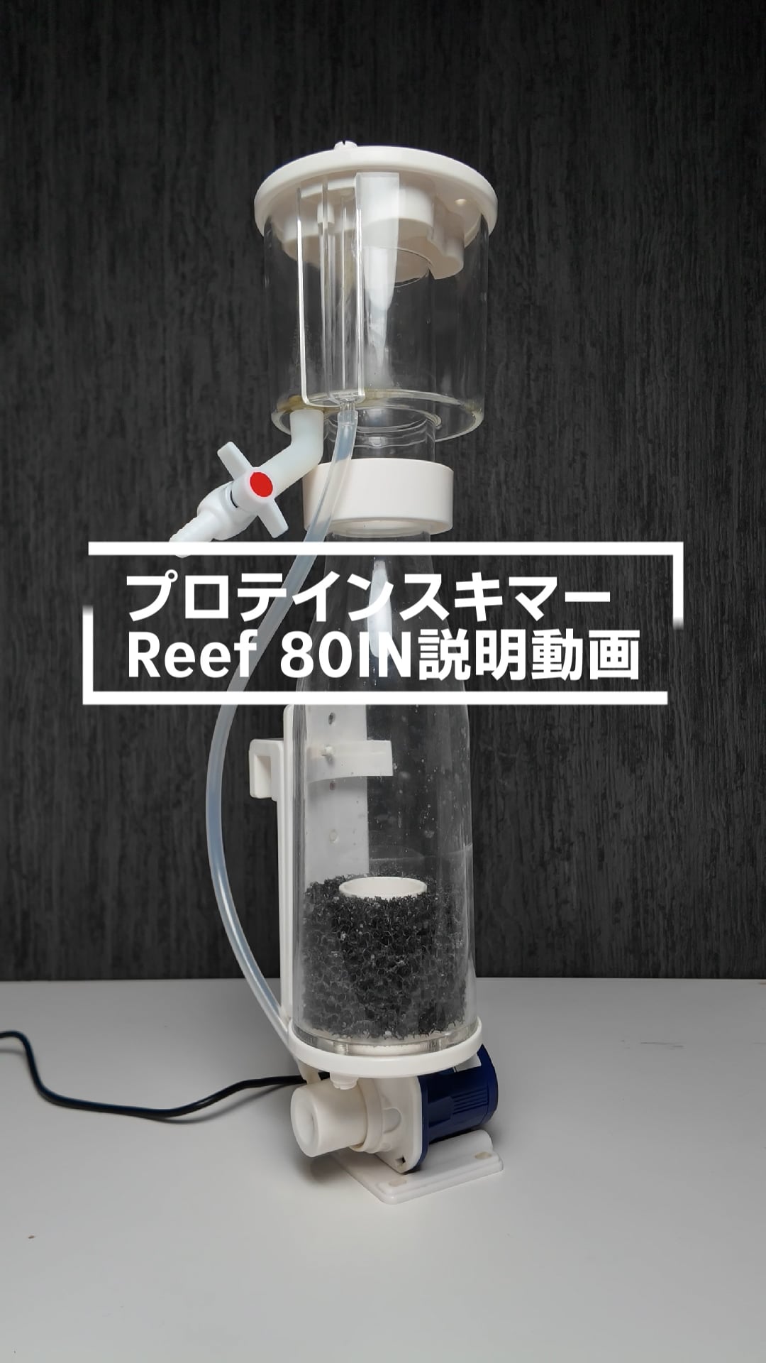 ZKSJ プロテインスキマー REEF-80JN ZKSJ プロテインスキマー REEF-80JN プロテインスキマー Reef80