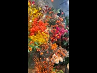 Kunstbloem Ilex tak
