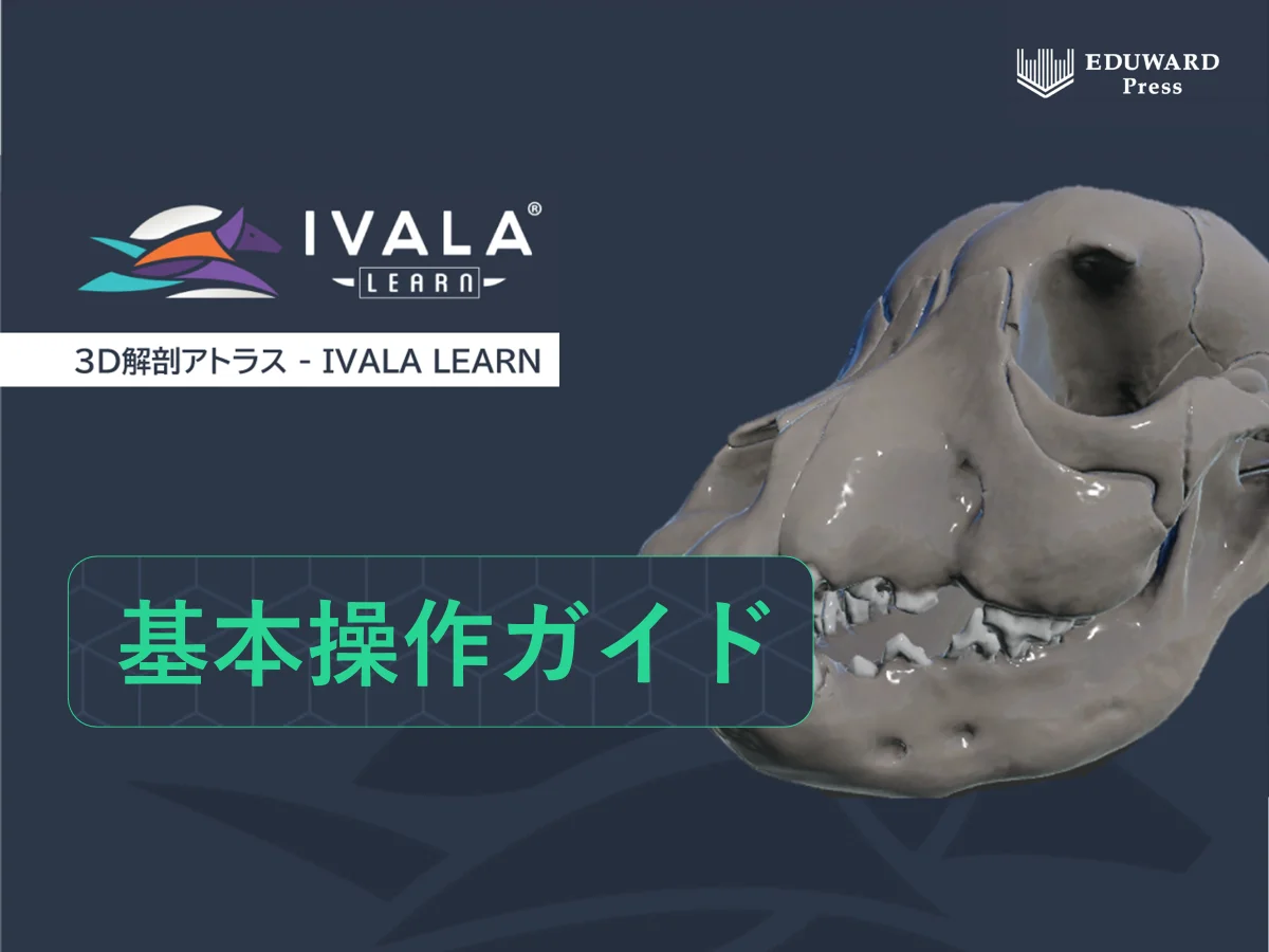 IVALA 基本操作ガイド