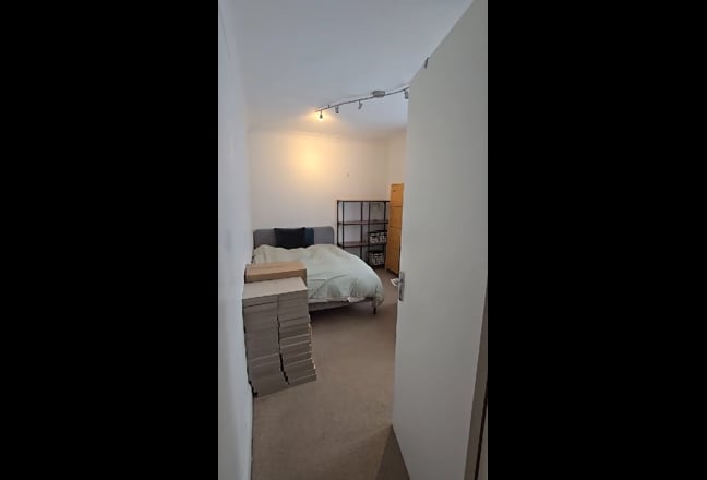 In Search of a Fun housemate Adventure Buddy. Main Photo