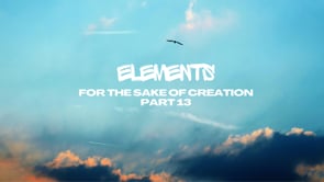 Elements: For the Sake of Creation (Part 13)