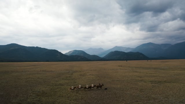 Tecovas "Earthen Hooves"