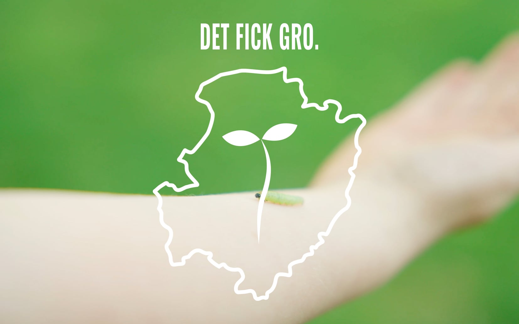 DET FICK GRO - Ekparken