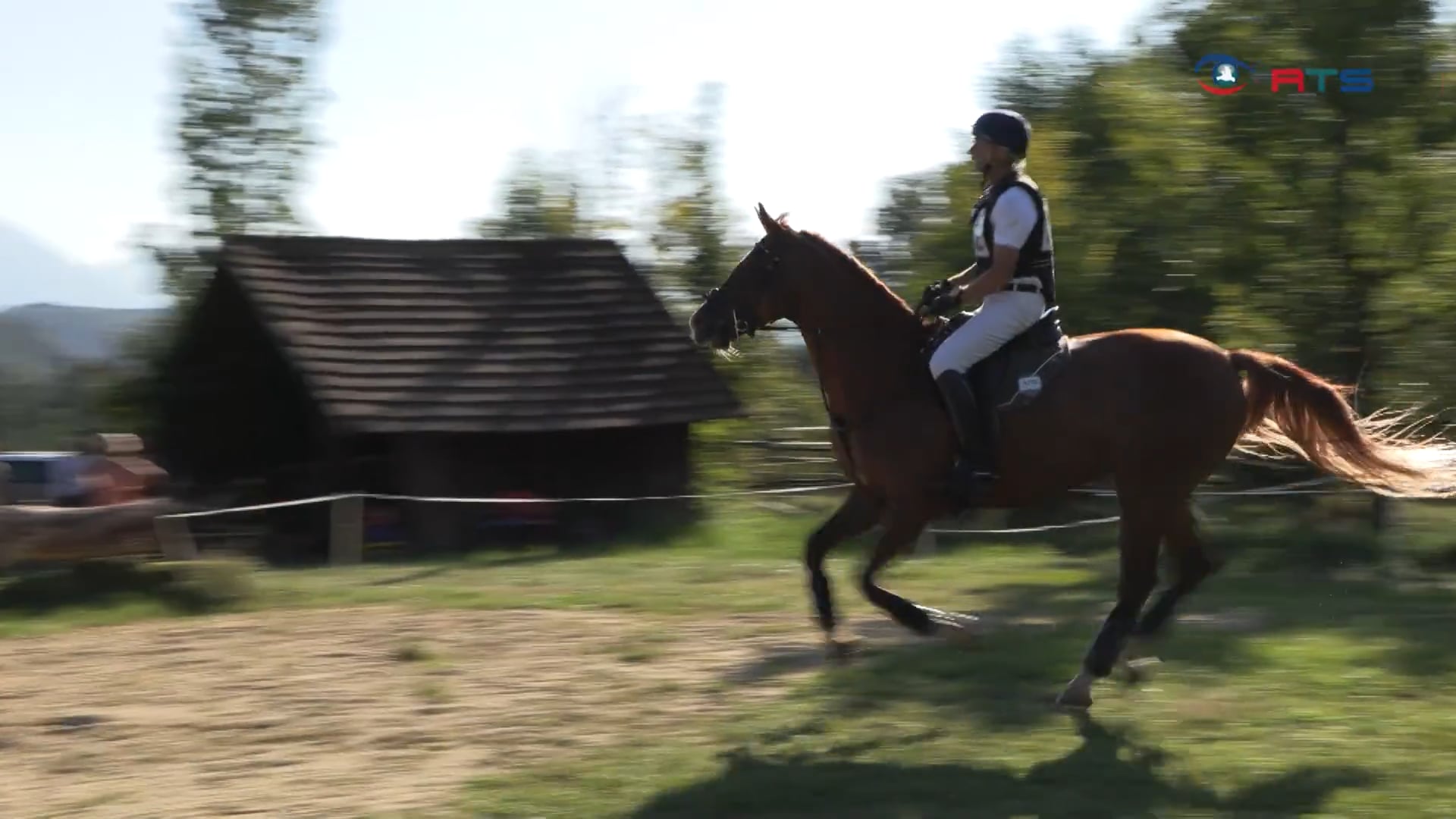 noriker-haflinger-das-vielseitigkeitsturnier-in-elixhausen