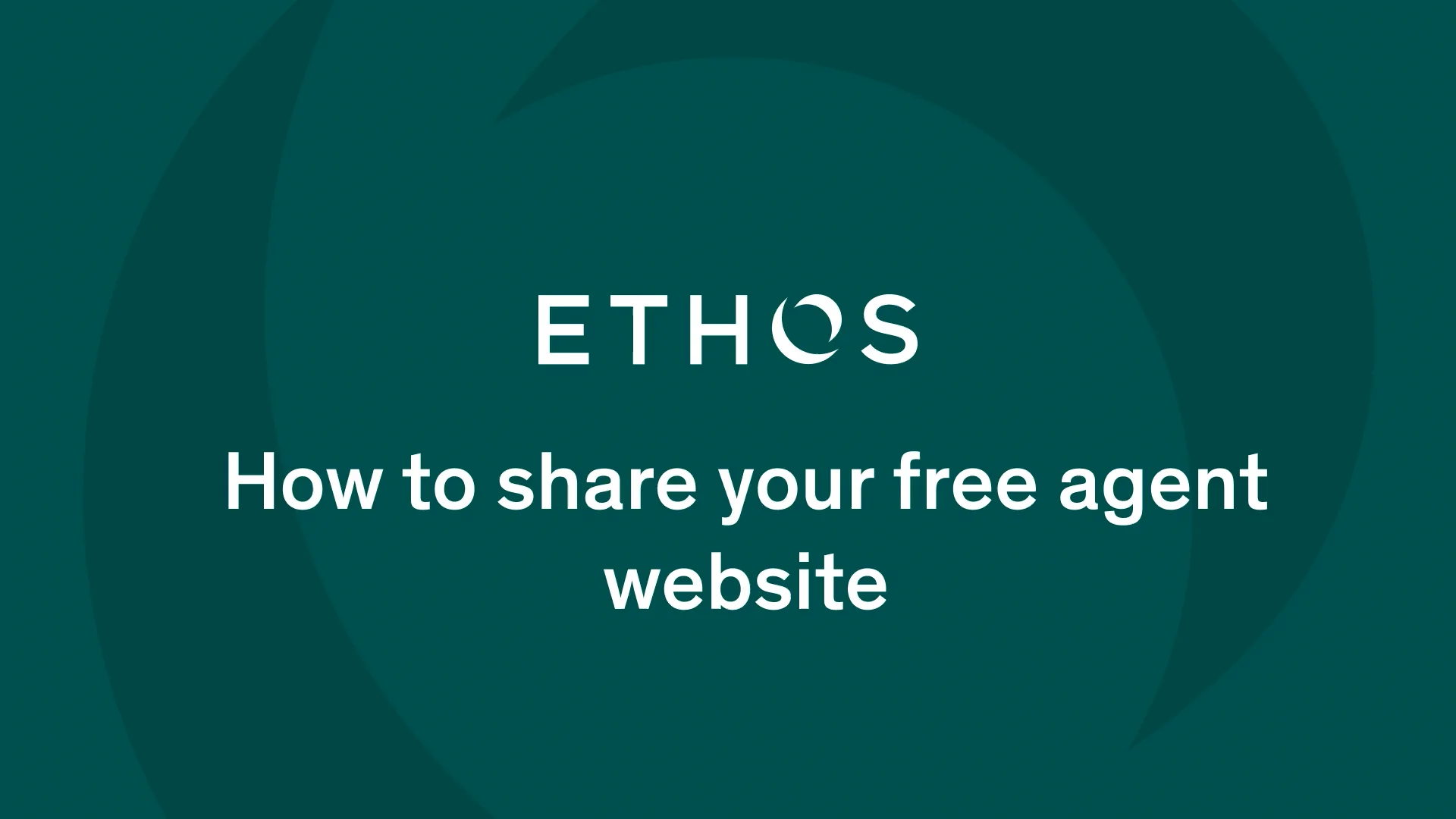 FREEAGENT NETWORK visual data 3