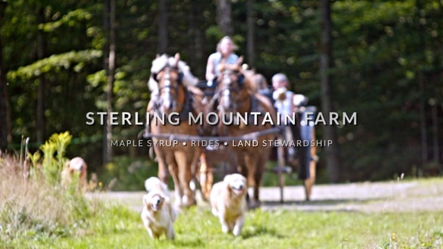Sterling Mountain Farm maple syrup