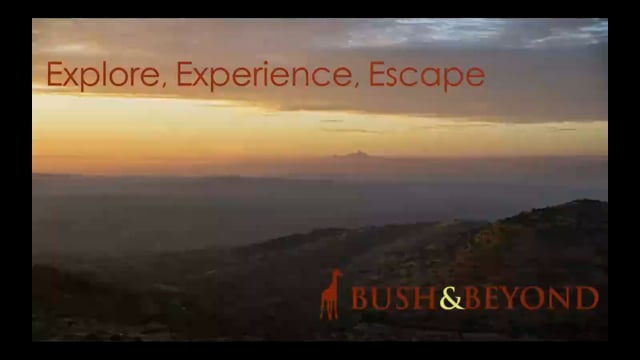What's New with Bush & Beyond of Kenya - Lodge, Pool, Activities, and More!