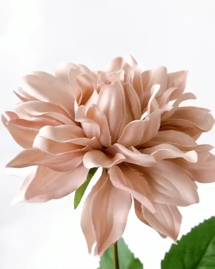 ｺﾝﾌｫｰﾄﾀﾞﾘｱ: 造花（アーティフィシャルフラワー） ｜ YDM