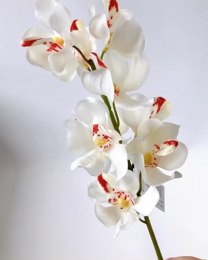 本物フラワーブローチ オーキッド 本物フラワーブローチ オーキッド アクセサリー