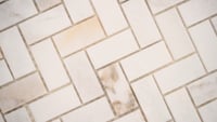 Arabescato Venato White 1X2 Herringbone Honed Marble Mosaic Tile