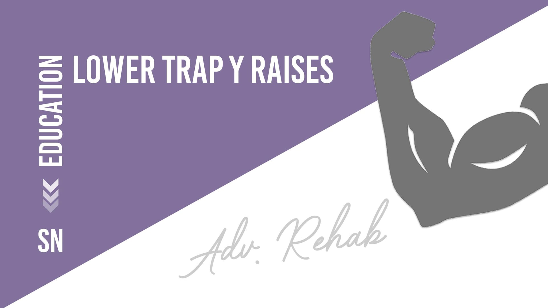 Lower Trap Y Raises