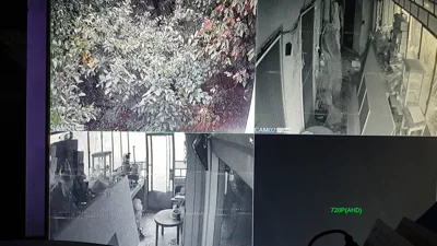 Dungi monitor supraveghere