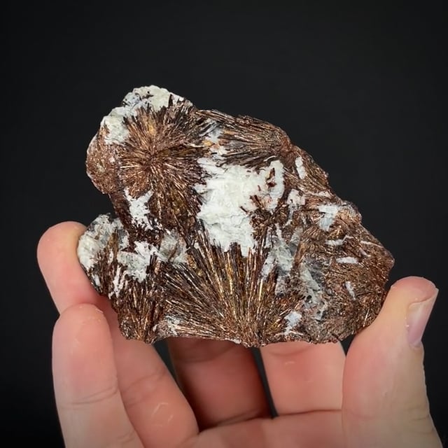 Astrophyllite with Albite