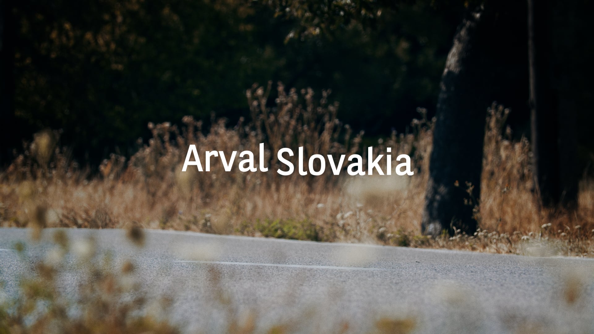 Arval 20 years