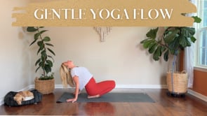 Related Embedded Video Item Thumbnail