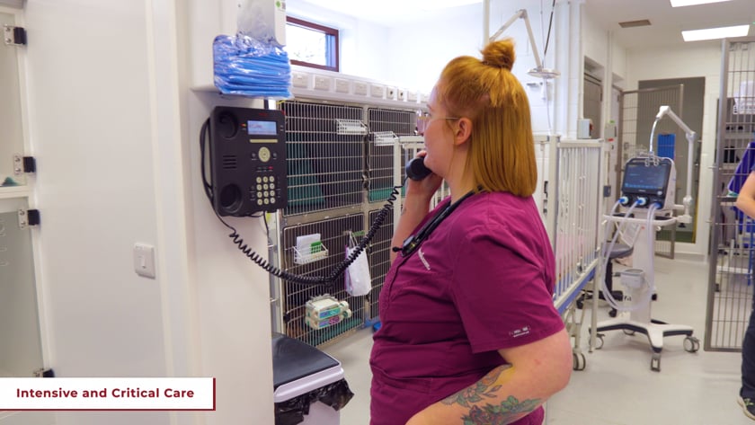 vimeo-video-thumbnail