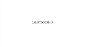 09a_Camptocormia_MASTER-NO