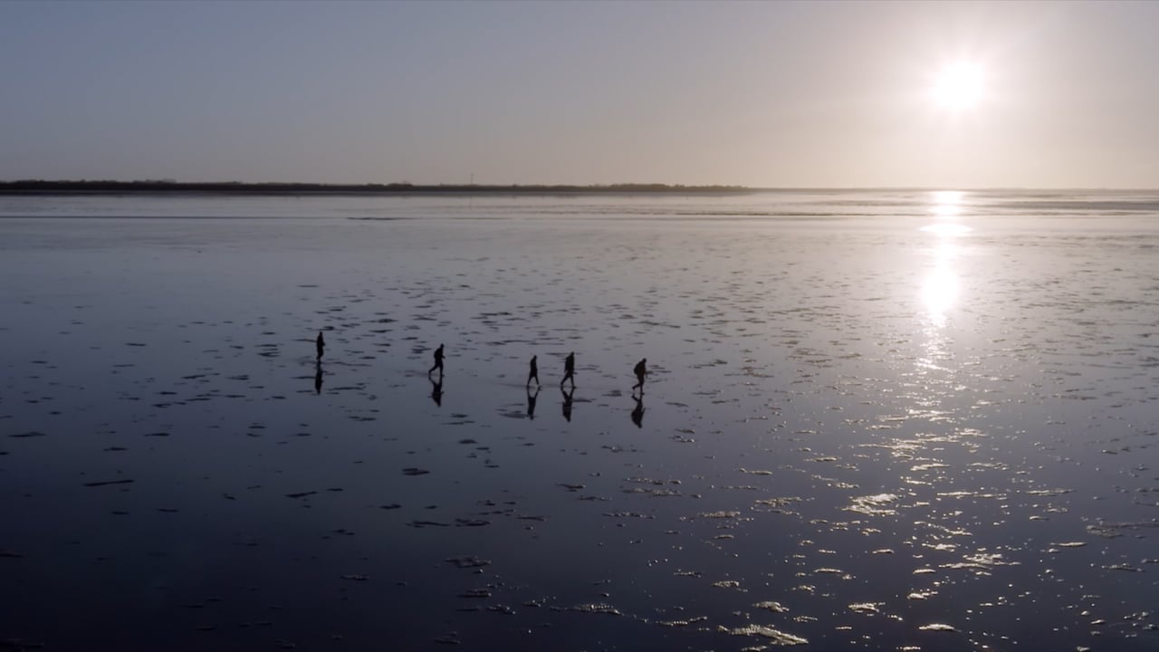 Merkpositionering Fryslân