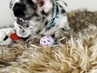 Watch me play!