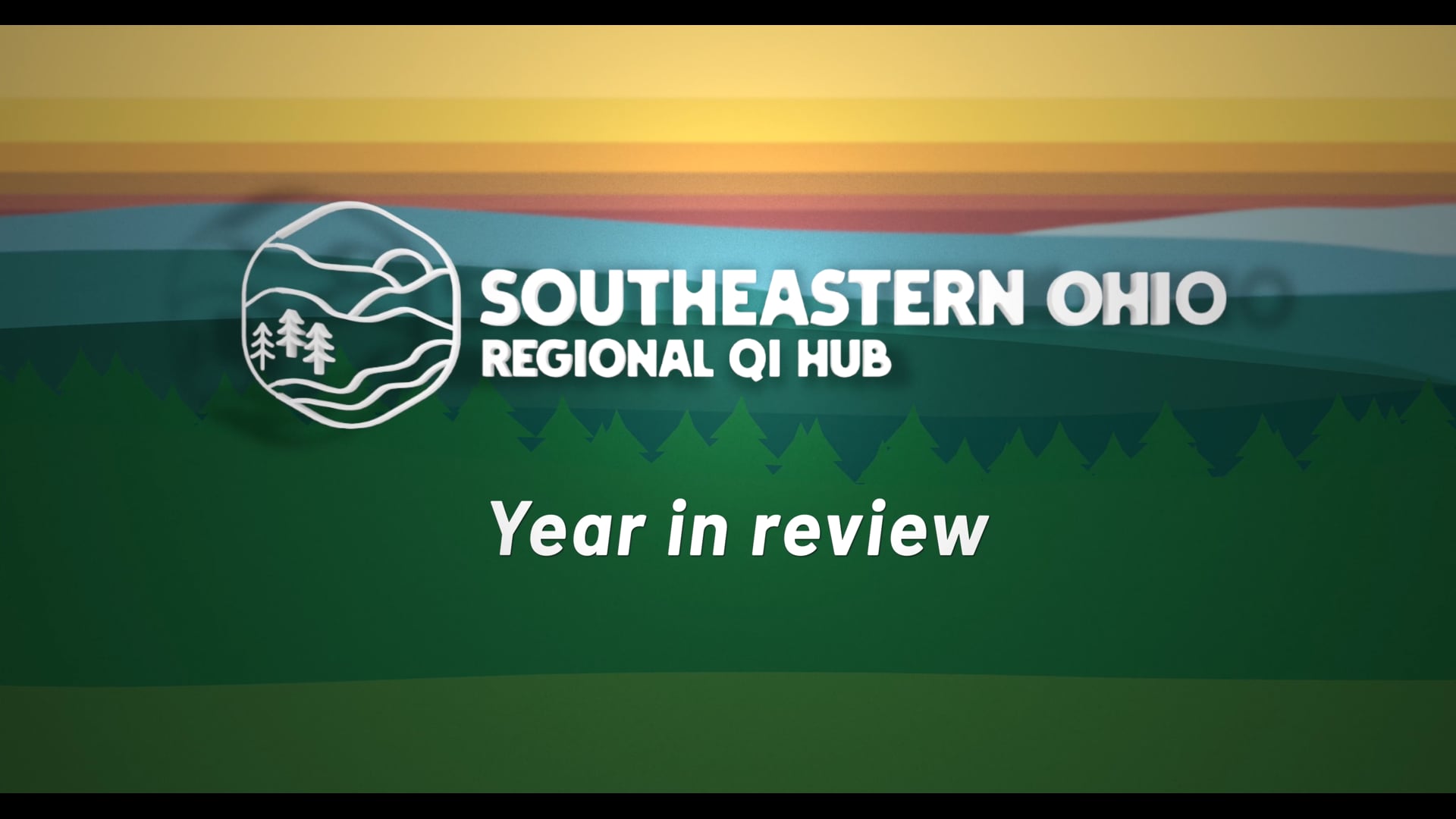 Year One Review of the SEO QI Hub