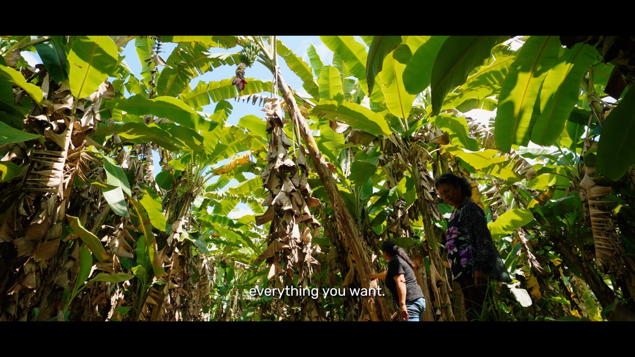 Discover the Story of the Progress of 'Las Puinahuinas'