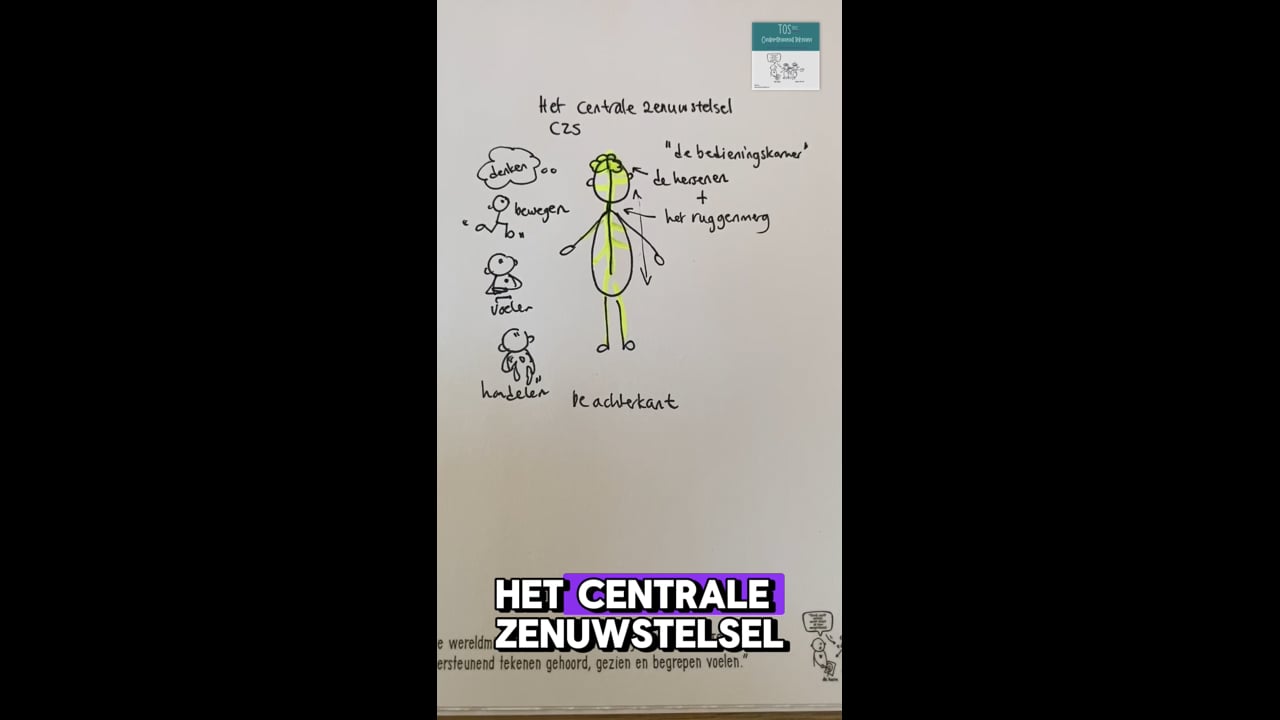 Centrale ZenuwStelsel (het)